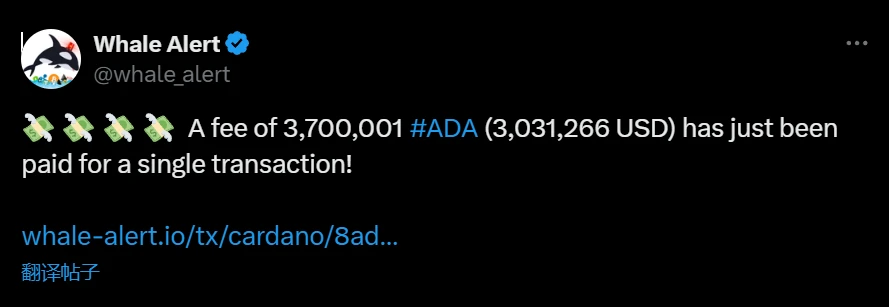  Cardano链上单笔交易手续费超303万美元