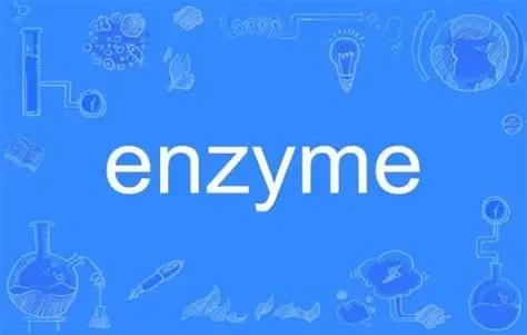  Enzyme协议Sulu版本：DeFi储蓄商店的创新升级