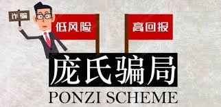  庞氏骗局与Terra生态：风险与创新并存