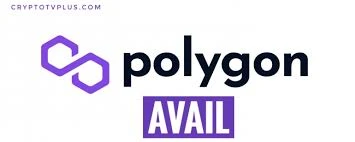  Polygon Avail：区块链数据可用性层的革命性突破