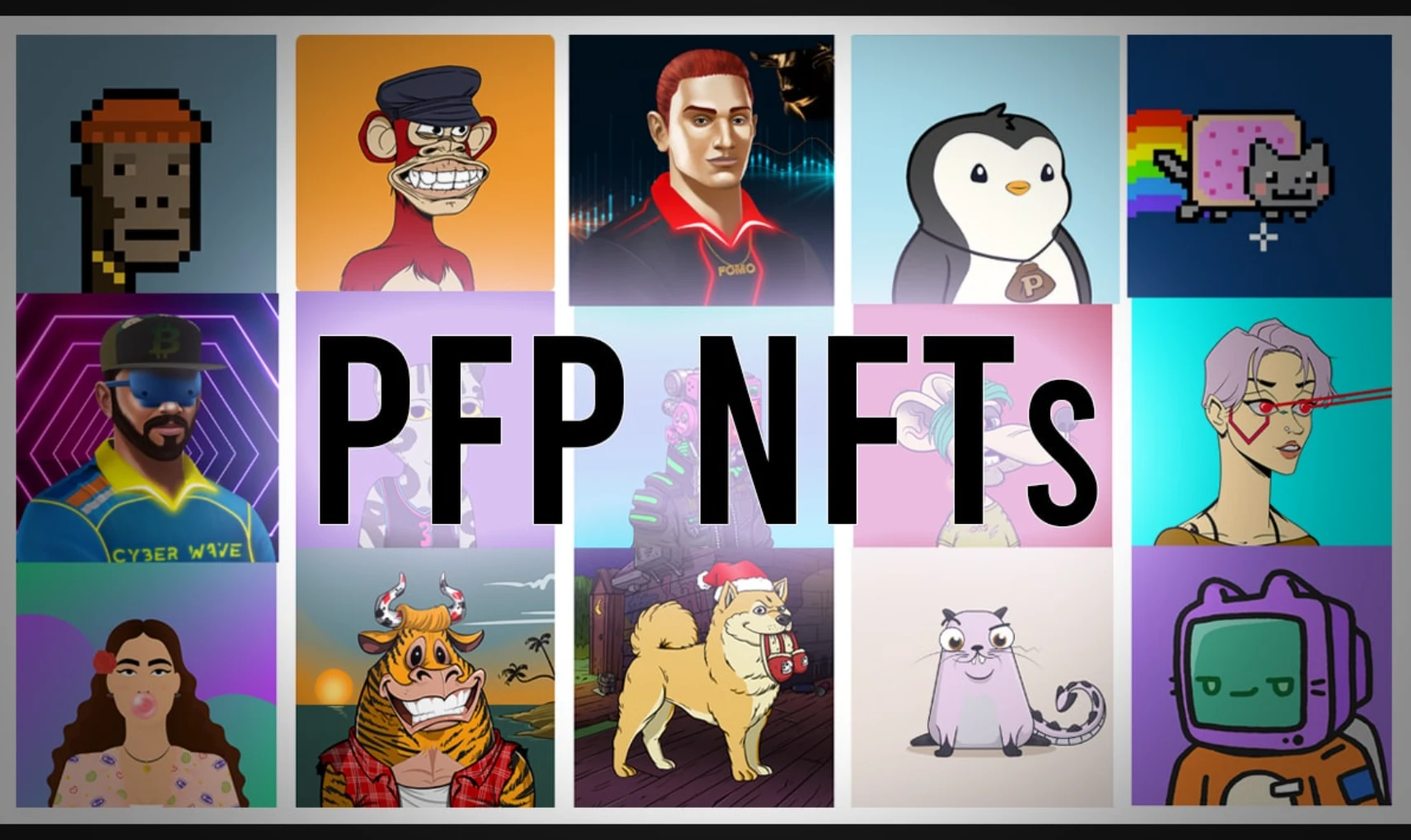 什么是区块链PFP？入门应如何理解？