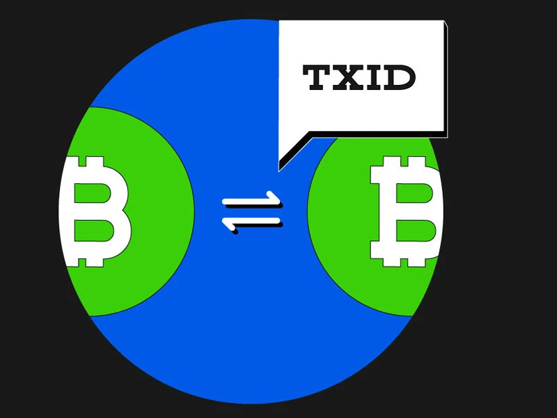  如何查询区块链交易TXID？有哪些查询网址？