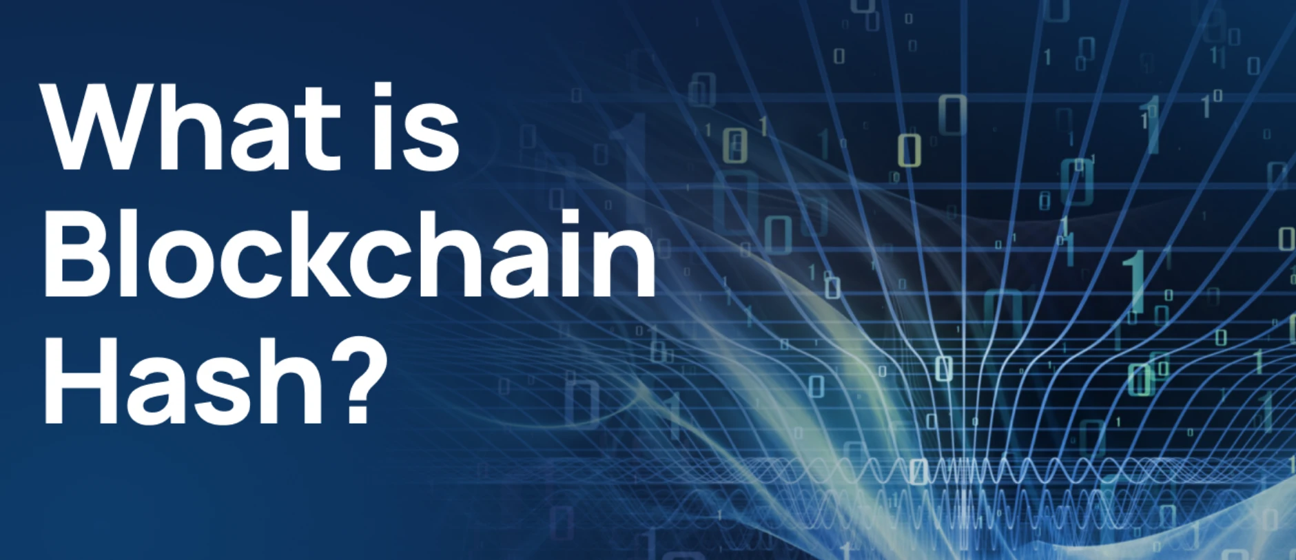  区块的哈希值是什么？它如何像数字指纹一样工作？