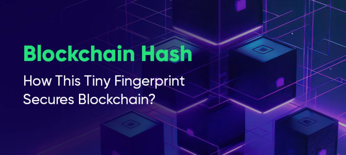  哈希是什么？为何它是区块链的信任基石？