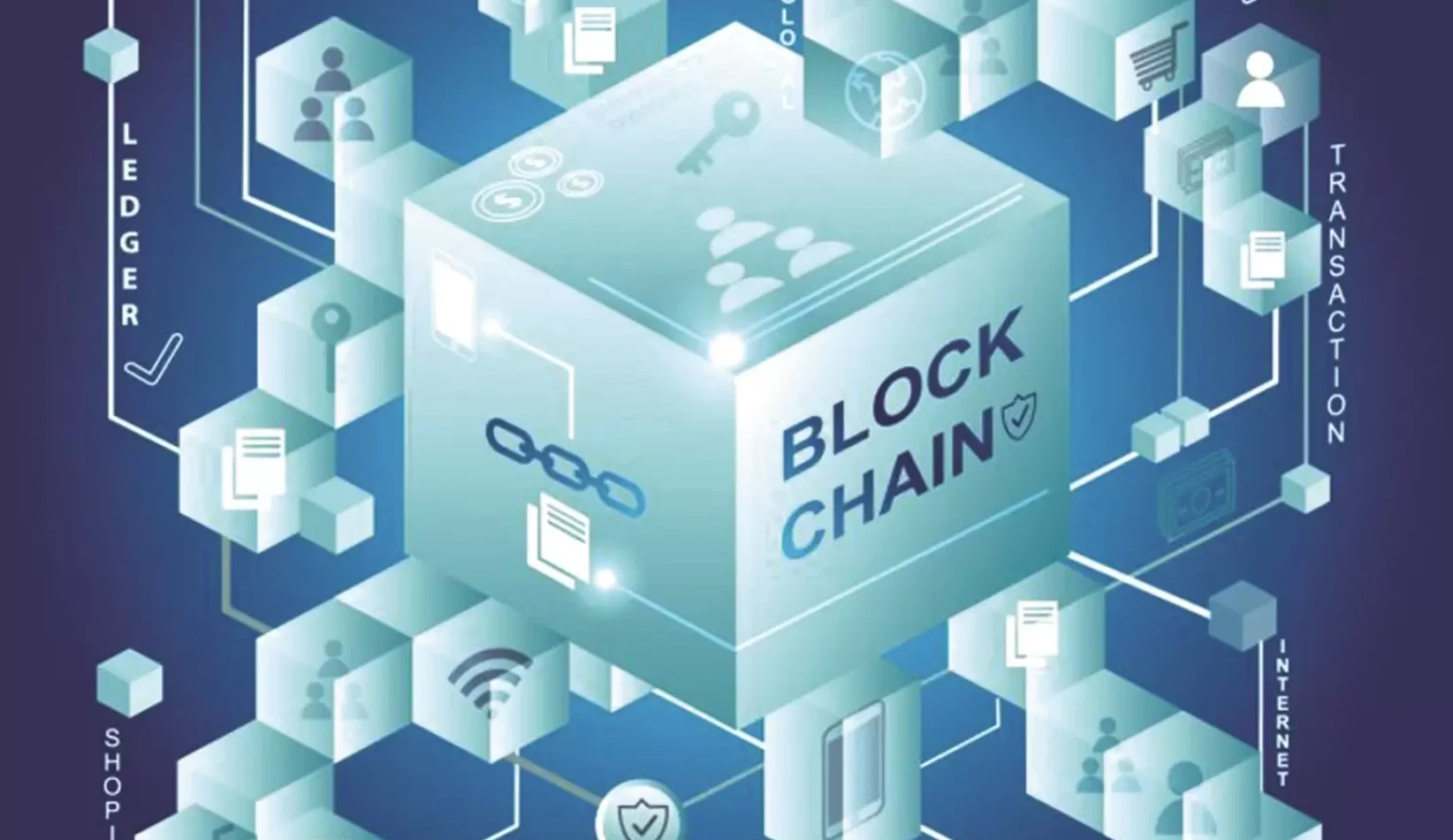  浏览区块链浏览器时，我们能从一个区块中看到什么？