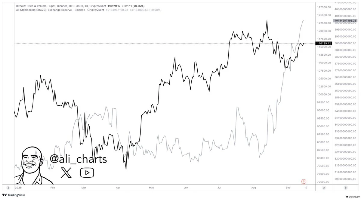  币安稳定币储备突破400亿美元创新高